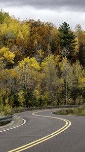 Preview wallpaper road, turn, forest, autumn, nature