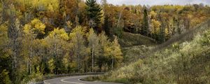 Preview wallpaper road, turn, forest, autumn, nature