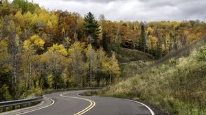 Preview wallpaper road, turn, forest, autumn, nature