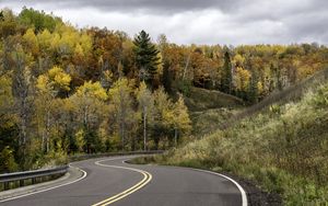 Preview wallpaper road, turn, forest, autumn, nature