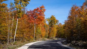 Preview wallpaper road, turn, forest, autumn, trees