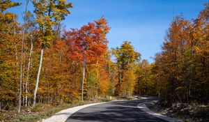 Preview wallpaper road, turn, forest, autumn, trees