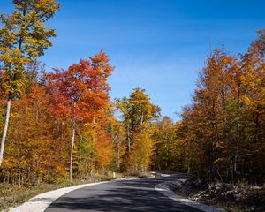 Preview wallpaper road, turn, forest, autumn, trees