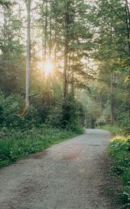 Preview wallpaper road, turn, forest, trees, sun