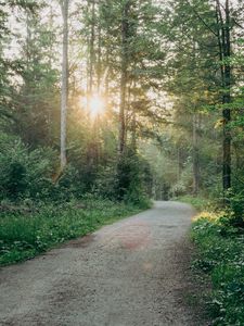 Preview wallpaper road, turn, forest, trees, sun