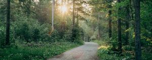 Preview wallpaper road, turn, forest, trees, sun