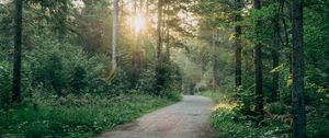 Preview wallpaper road, turn, forest, trees, sun