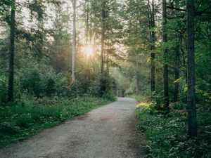 Preview wallpaper road, turn, forest, trees, sun