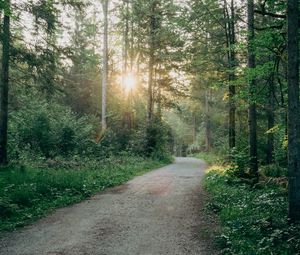 Preview wallpaper road, turn, forest, trees, sun