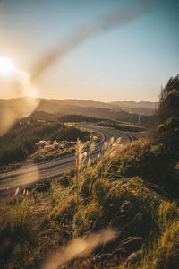 Preview wallpaper road, turn, grass, sky, landscape