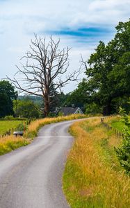 Preview wallpaper road, turn, house, tree