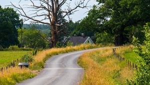 Preview wallpaper road, turn, house, tree