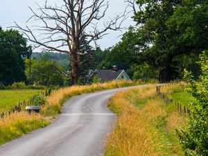 Preview wallpaper road, turn, house, tree