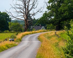 Preview wallpaper road, turn, house, tree