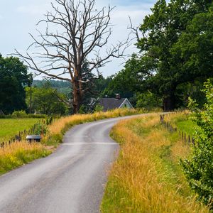 Preview wallpaper road, turn, house, tree