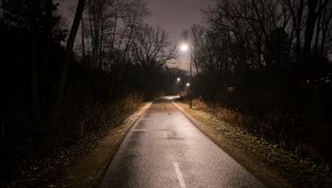 Preview wallpaper road, turn, lights, trees, night, dark