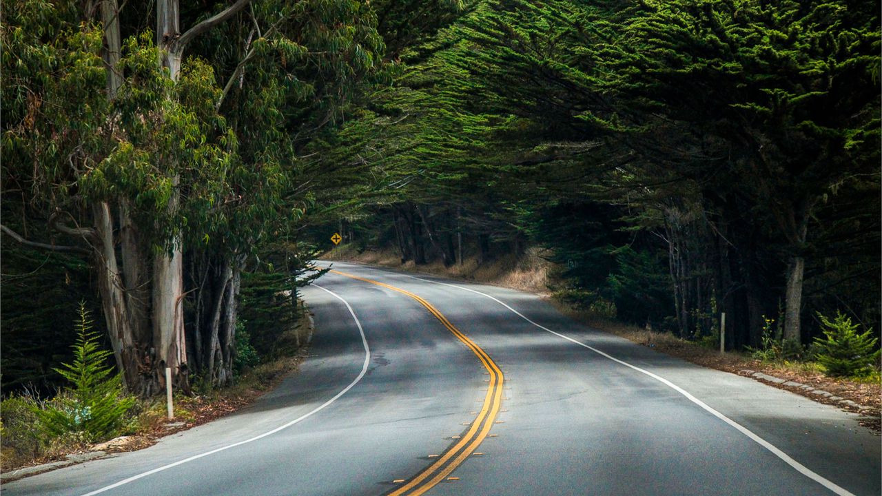 Wallpaper road, turn, signpost, forest, trees