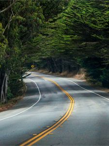 Preview wallpaper road, turn, signpost, forest, trees