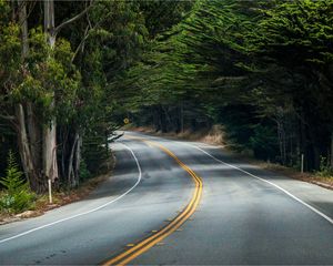 Preview wallpaper road, turn, signpost, forest, trees