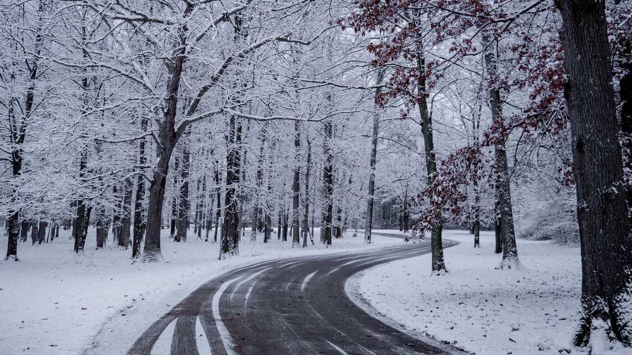 Wallpaper road, turn, snow, winter, trees