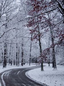 Preview wallpaper road, turn, snow, winter, trees