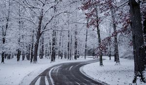 Preview wallpaper road, turn, snow, winter, trees