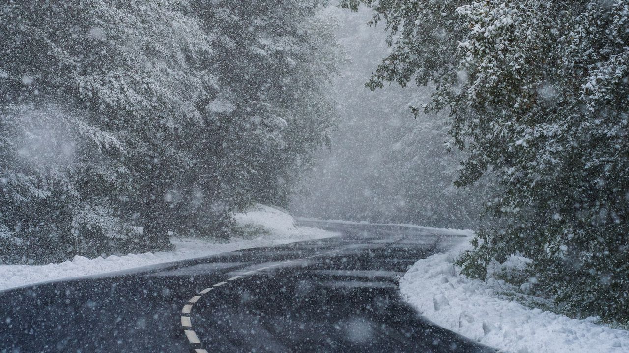 Wallpaper road, turn, snow, trees, blizzard, winter