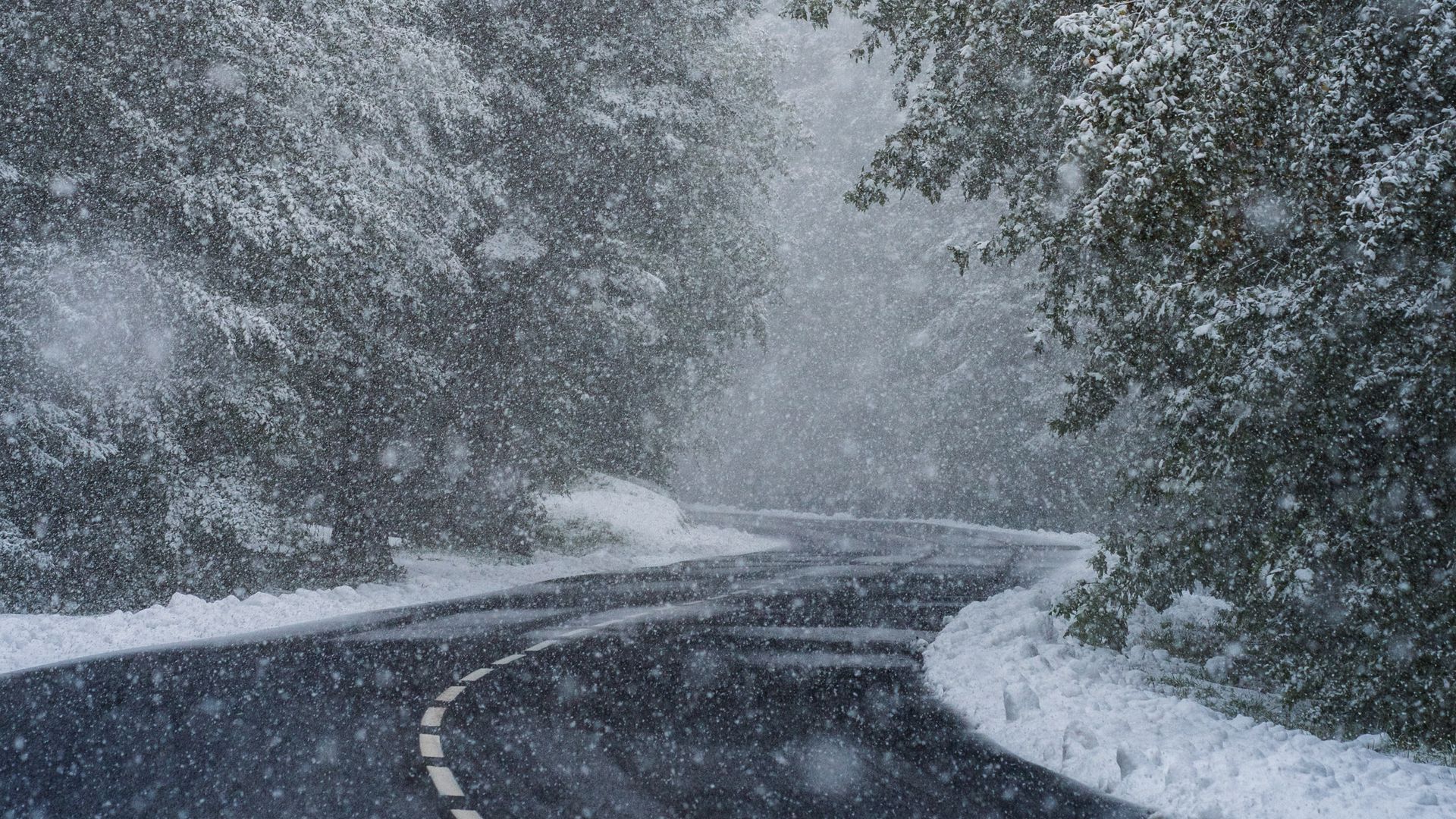 Download wallpaper 1920x1080 road, turn, snow, trees, blizzard, winter ...