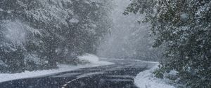Preview wallpaper road, turn, snow, trees, blizzard, winter