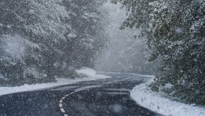 Preview wallpaper road, turn, snow, trees, blizzard, winter