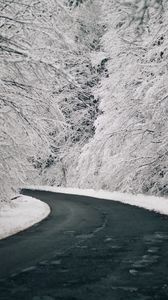 Preview wallpaper road, turn, snow, trees, winter