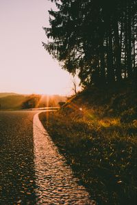 Preview wallpaper road, turn, sunset, sunlight, nature