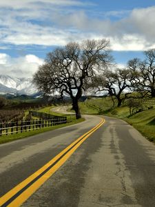 Preview wallpaper road, turn, tree, clouds