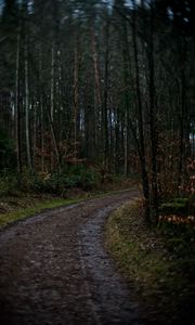 Preview wallpaper road, turn, trees, branches, forest, dark