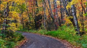 Preview wallpaper road, turn, trees, autumn, forest, nature