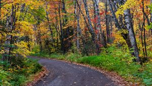 Preview wallpaper road, turn, trees, autumn, forest, nature