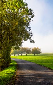 Preview wallpaper road, turn, trees, field, grass, morning