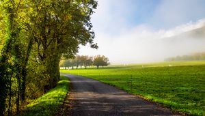 Preview wallpaper road, turn, trees, field, grass, morning