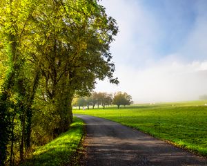 Preview wallpaper road, turn, trees, field, grass, morning