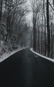 Preview wallpaper road, turn, trees, snow, overcast