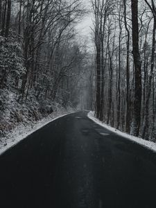 Preview wallpaper road, turn, trees, snow, overcast