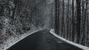 Preview wallpaper road, turn, trees, snow, overcast