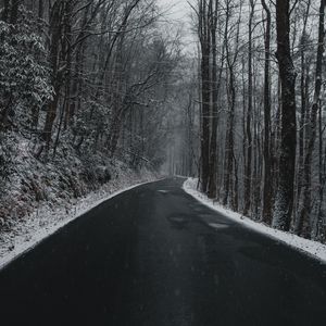 Preview wallpaper road, turn, trees, snow, overcast