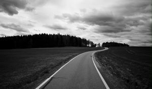 Preview wallpaper road, turn, trees, bw