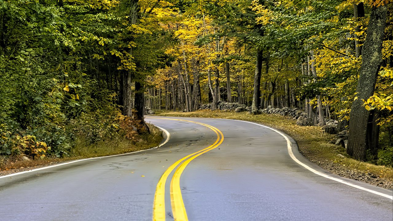 Wallpaper road, turn, trees, autumn, stripes