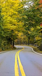 Preview wallpaper road, turn, trees, autumn, stripes