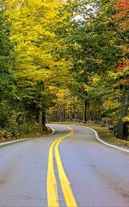 Preview wallpaper road, turn, trees, autumn, stripes