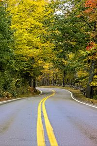 Preview wallpaper road, turn, trees, autumn, stripes