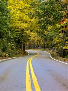 Preview wallpaper road, turn, trees, autumn, stripes