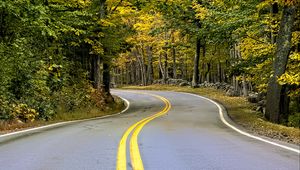 Preview wallpaper road, turn, trees, autumn, stripes